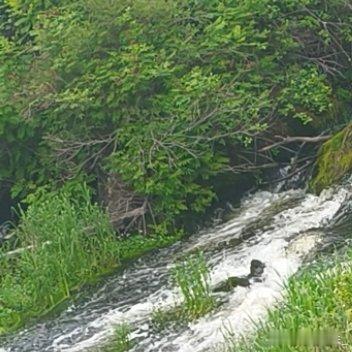0000偶尔也会偷懒点外卖，窝在沙发大口吃喜欢的食物，不用刻意维持体面。慢慢发现