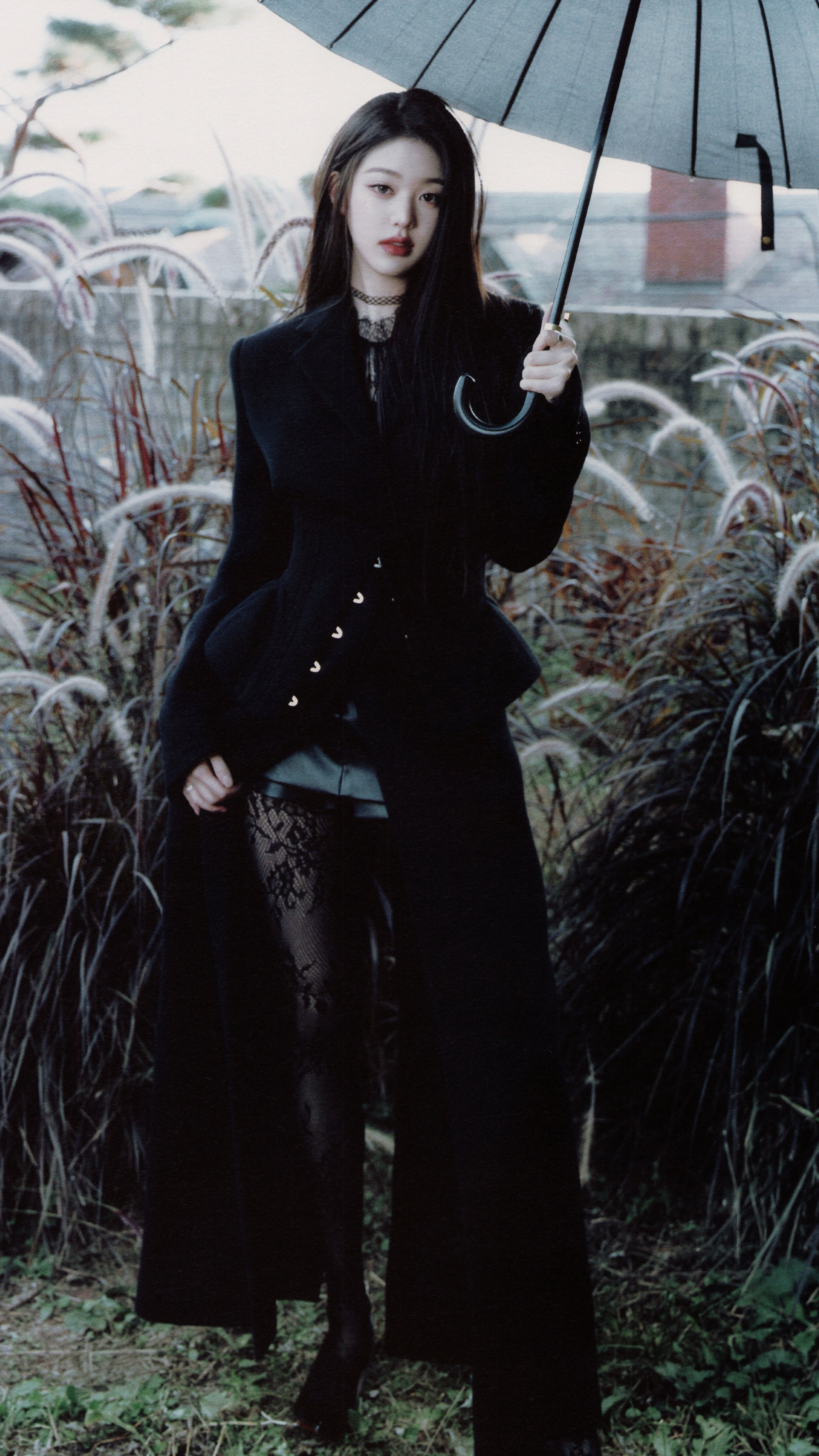 张元英x黑色玫瑰🖤