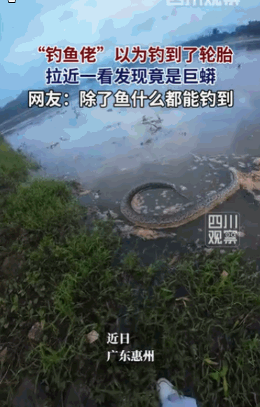 “太吓人了！”广东惠州，一位“钓鱼佬”本以为自己的鱼钩要挂上一个沉甸甸的废弃轮胎