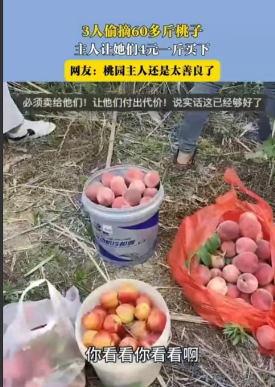 “太理直气壮了！”6月10日，安徽，果园主人小杨出门拉货回来，竟然看到三个戴着遮