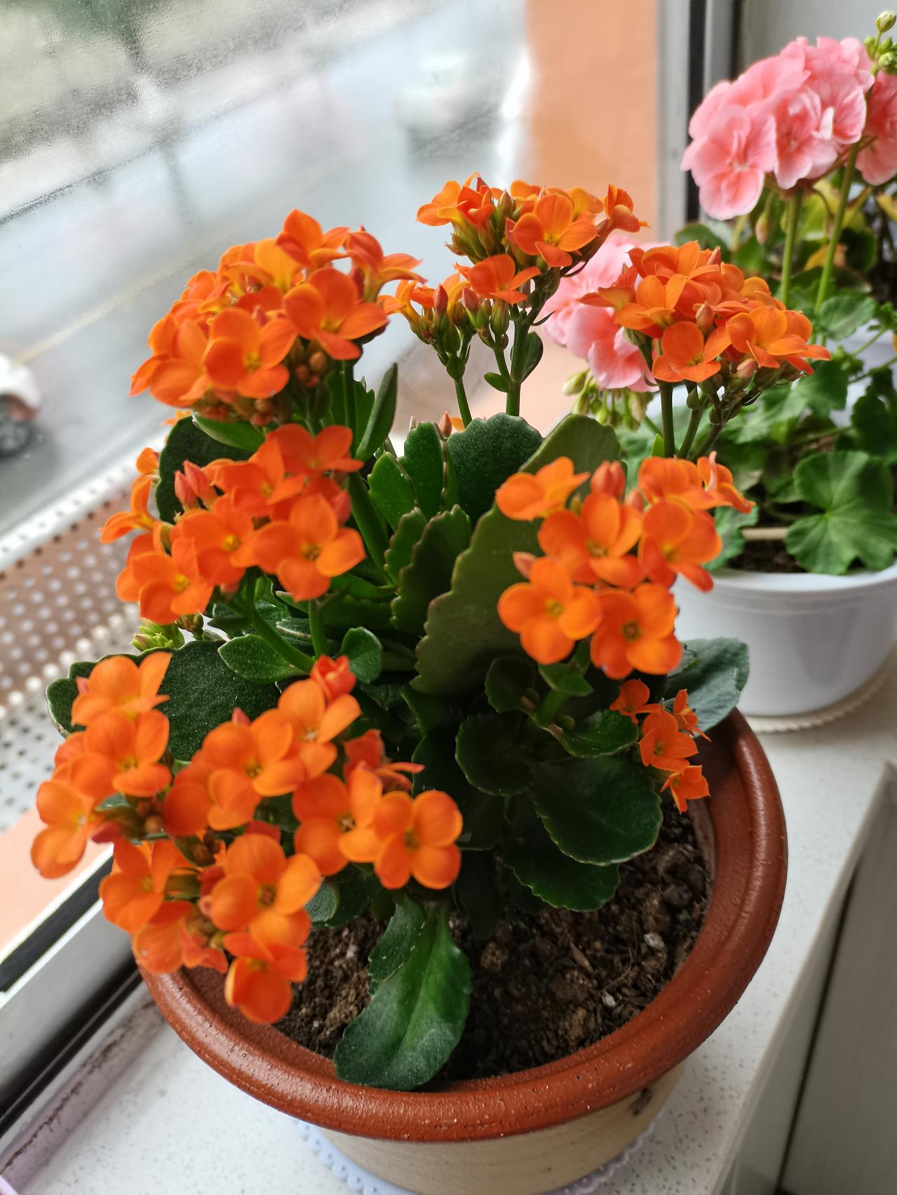 朋友的老公在菜市场和摊贩吵架被打了！被对方抡了两拳，嘴角都破了。警察来了说让菜贩