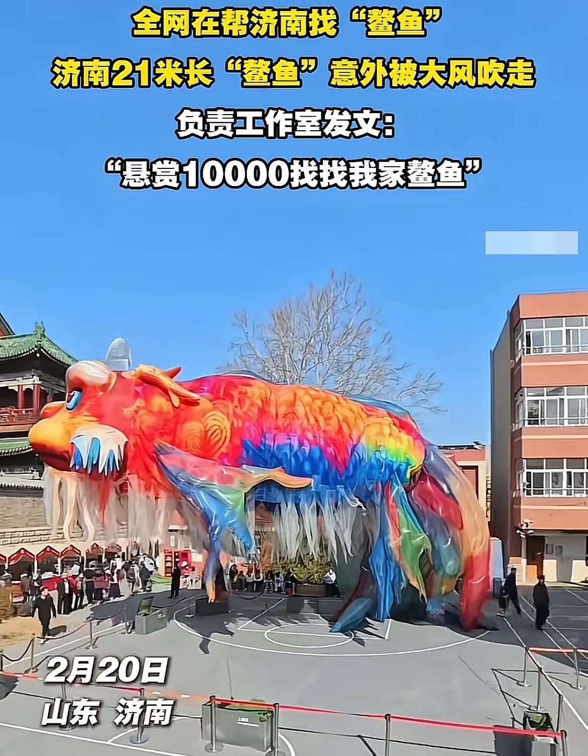 全网最关注的济南大鳌鱼飞到哪里去了，工作室愚赏10000万块找大鳌鱼，经过网友全