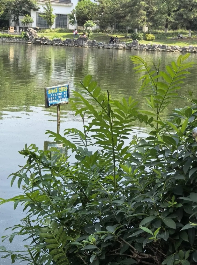 穷人可以在杭州混，但最好不要在杭州养狗。因为在杭州养狗，每年要交1000块钱管理