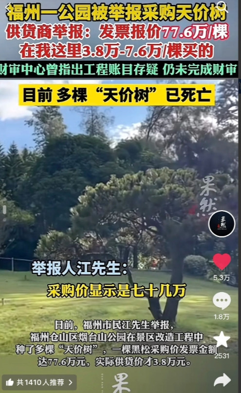 “和珅来了，都得叫他们一声师傅！”福州一公园被举报采购“天价树”，实价3万8报销