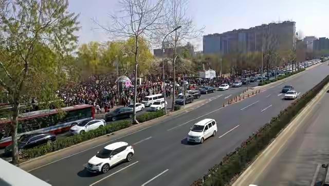 一位台湾朋友从武汉和长沙回来，跟我说了句狠话：“武汉人像你爸，话少但什么都给你