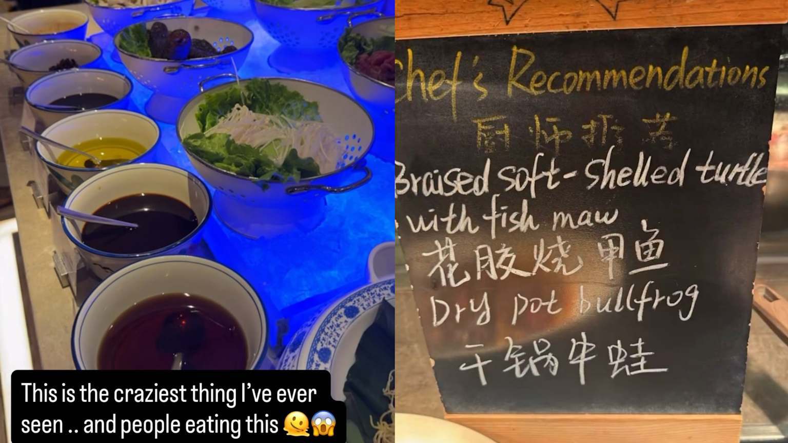 美国网球选手吐槽中国菜美国网球选手公开侮辱中国菜美国的山猪吃不了中国的细糠，