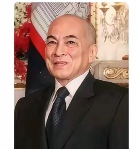 柬埔寨已经达到大势已去的地步了，洪森已经是无法扭转局面了，这也就意味着洪森掌控大