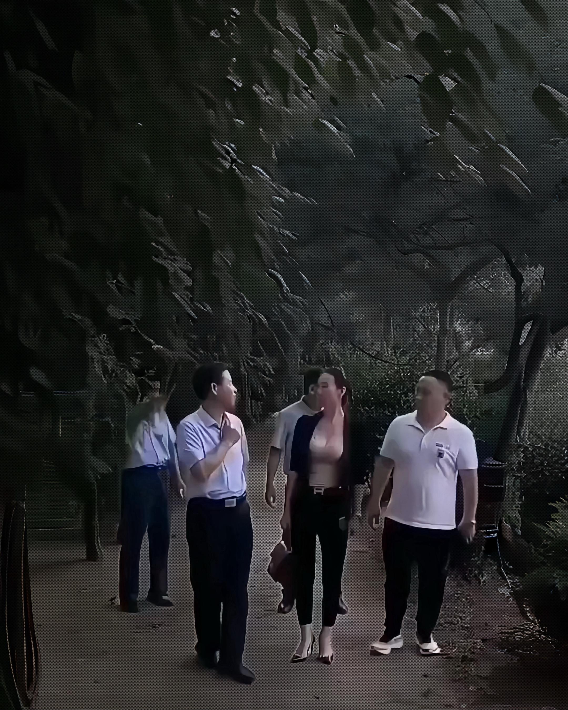 第一次见大领导 好紧张