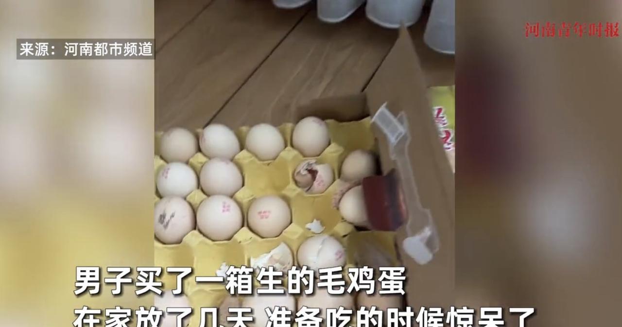 活久见！北京，男子买了一箱生的毛鸡蛋，收到后就在家里放了几天，也没着急吃，不料，