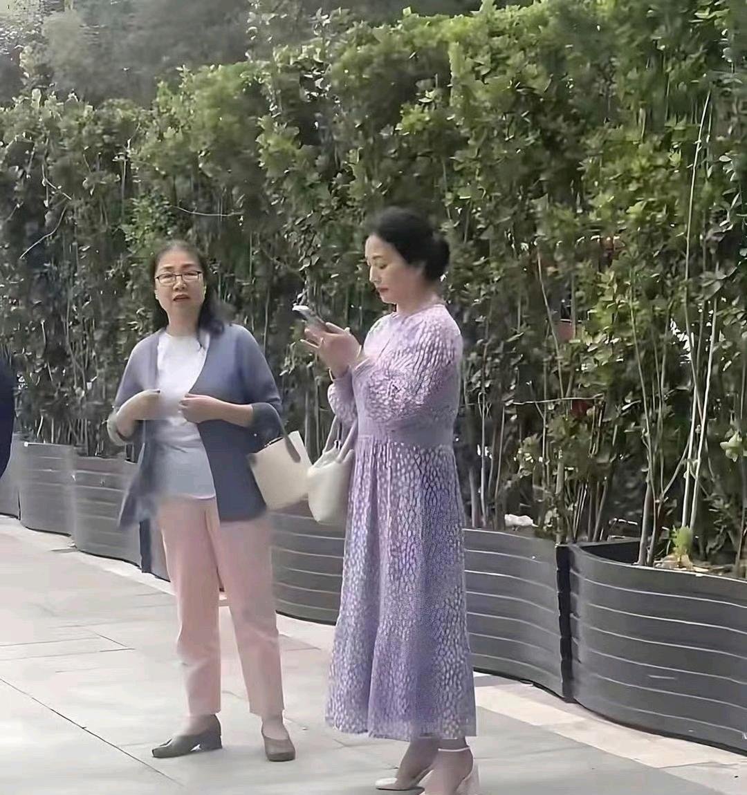刘亦菲妈妈被偶遇，65岁了保养的挺好的