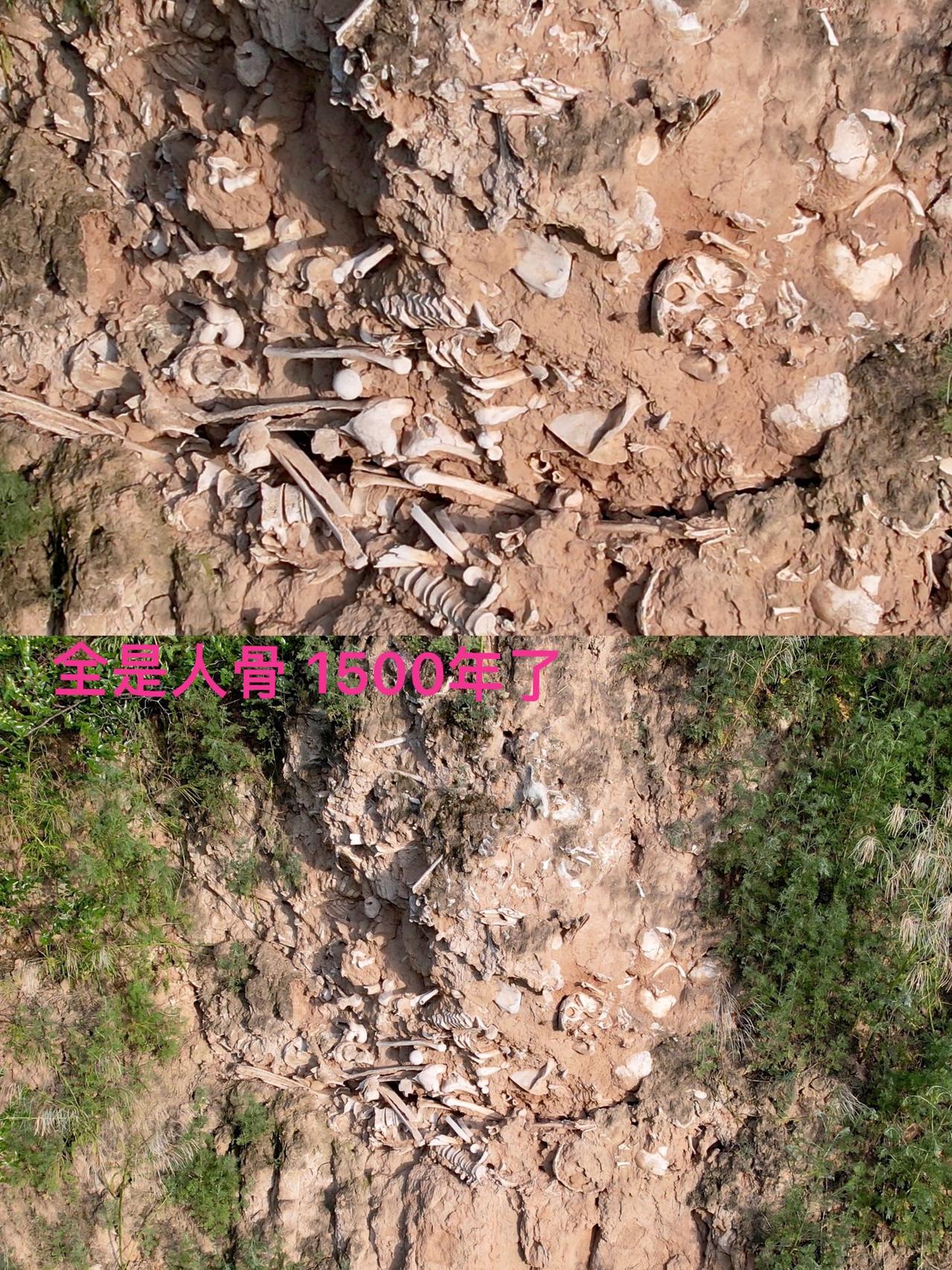 天啦！悬崖半山腰全是人骨……这些白骨已经有1500年了……一个人探墓，你敢吗？