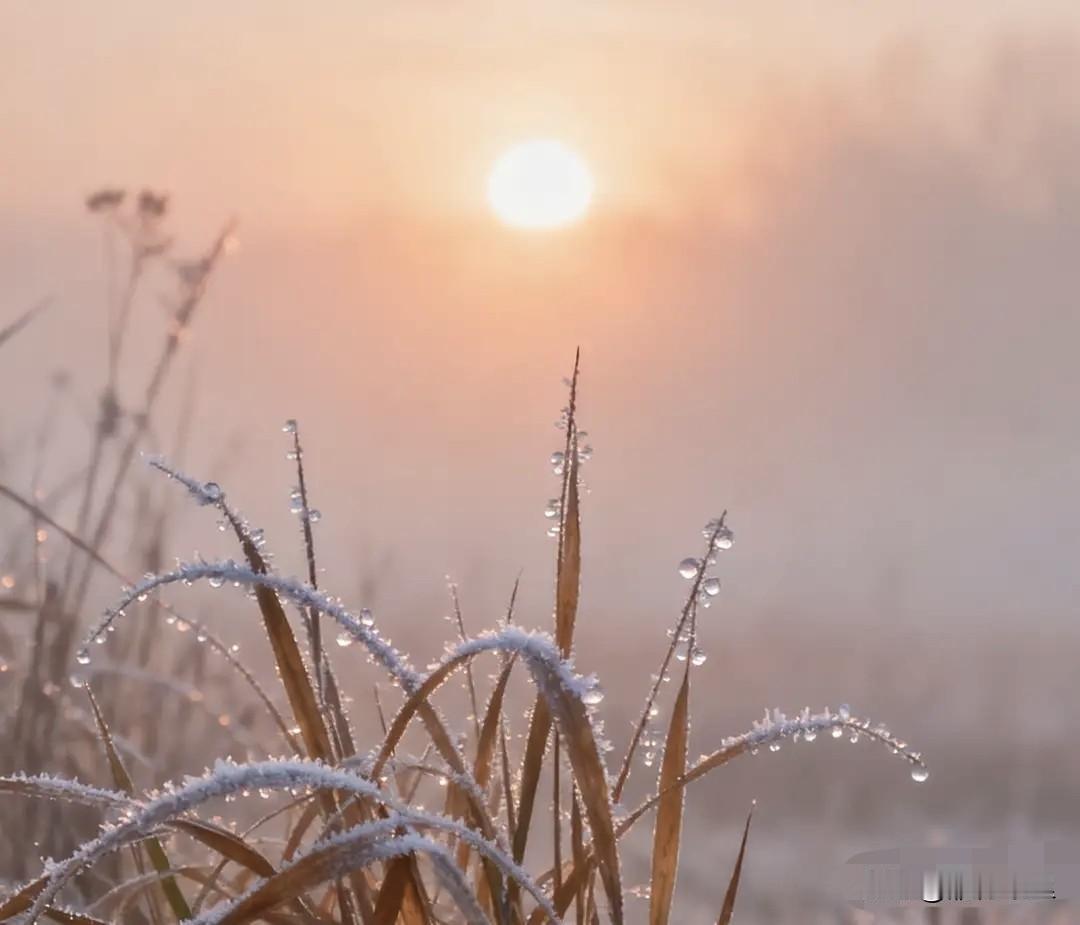新一轮裁员潮来袭，这些曾经的“金饭碗”行业，如今也撑不住了！一、银行以