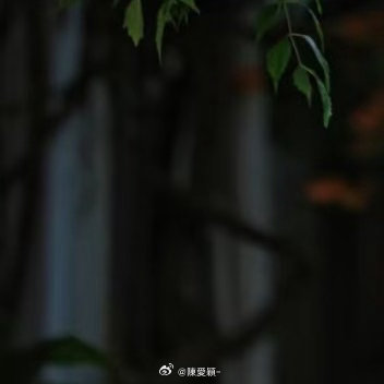 种植0000凌霄花种植养护方法1．选苗：选择枝干粗壮、根系完整、无病虫害的