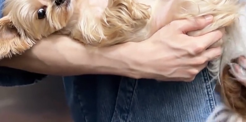 我的某处一直在下雨，我处理不好