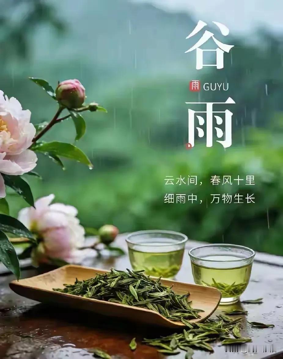 七律《谷雨》雨生百谷润芳郊，柳色新浓燕语捎。池面浮萍添翠影，篱边嫩笋