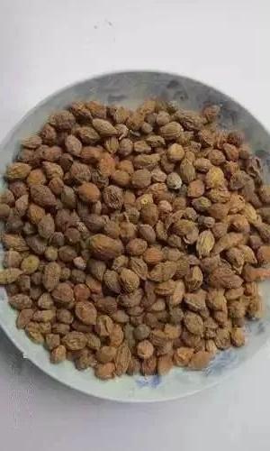 前列腺增生，中医调治有章法！3组对药不留余地我坐诊这些年，来看排尿不畅、夜尿