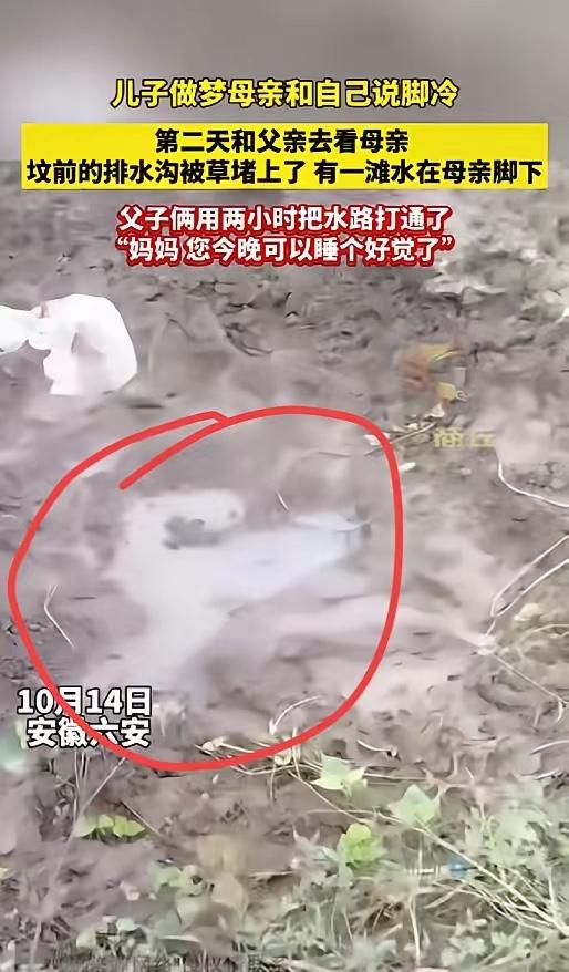 安徽六安一儿子做梦，逝去的妈妈跟他说脚冷。第二天和爸爸去坟前一看，好家伙，排水沟