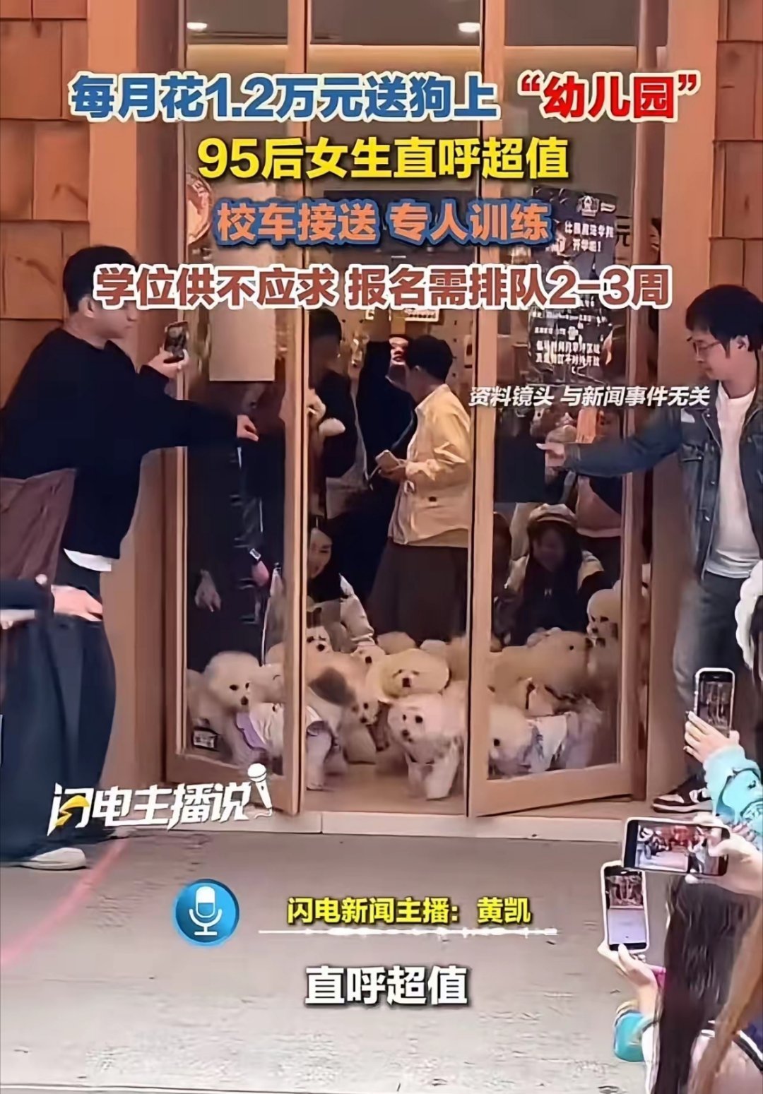 95后女生每月砸1.2万送狗上‘贵族幼儿园’，还得排队抢名额！网友：这世界颠的我