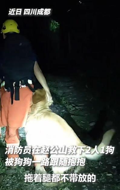 你救了它的狗命，它爱上你了！四川都江堰赵公山，两名游客登山遇暴雨受困，连同受伤的