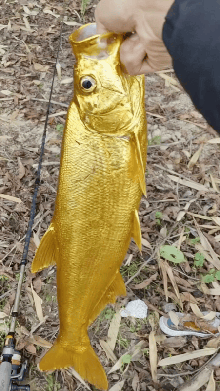 这也太幸运了！浙江嘉兴，一男子河边钓鱼，下钩没多久，手里的竿子猛地一沉，等把鱼遛