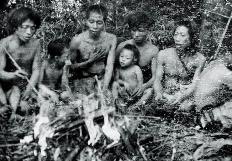 1956年，云南原始森林深处，解放军发现一群衣衫褴褛、蓬头垢面的男女。那
