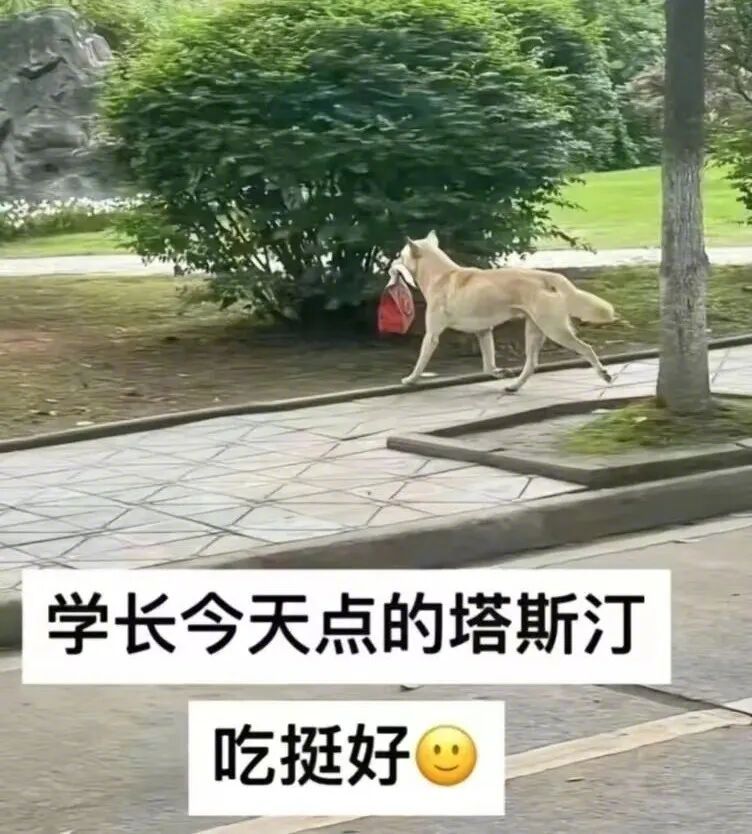 狗子：这鸡一顿堡一顿的日子过得真滋润