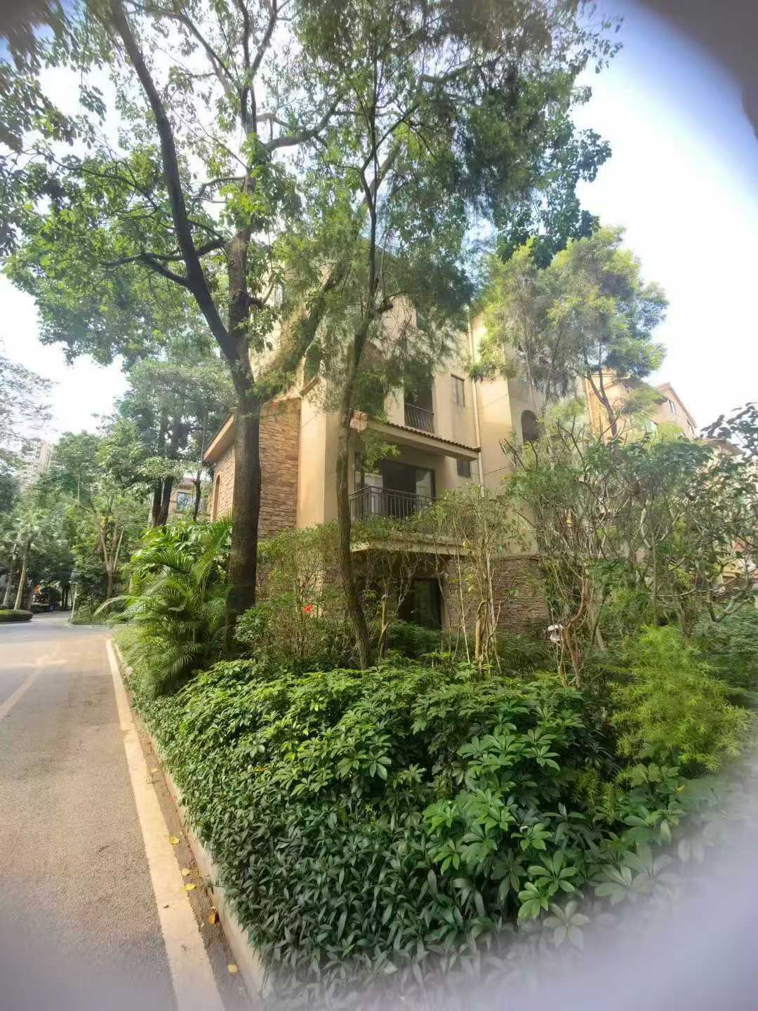 【独栋别墅风水5大核心】1地势藏风聚气:前低后高为佳，背靠山/高楼，门前明堂开