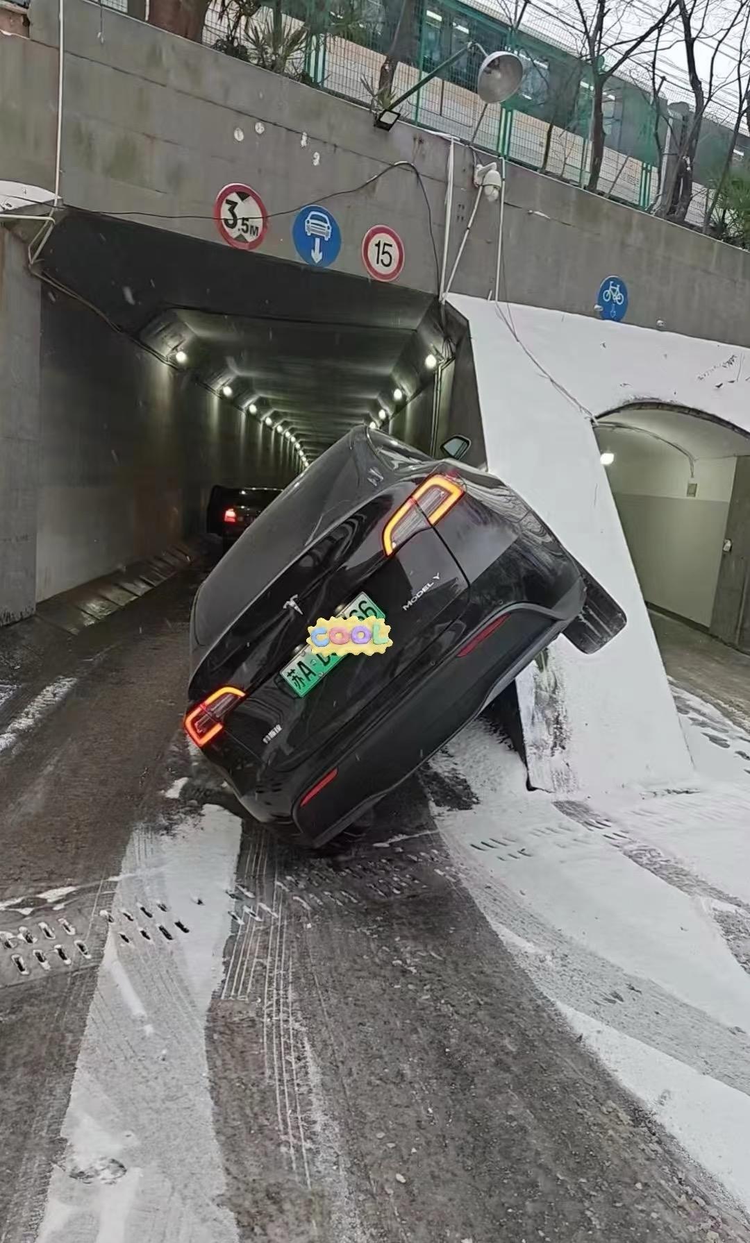 今天的南京。恶劣天气，动物都知道找个地方躲起来，人类居然还要上班。也不知道老