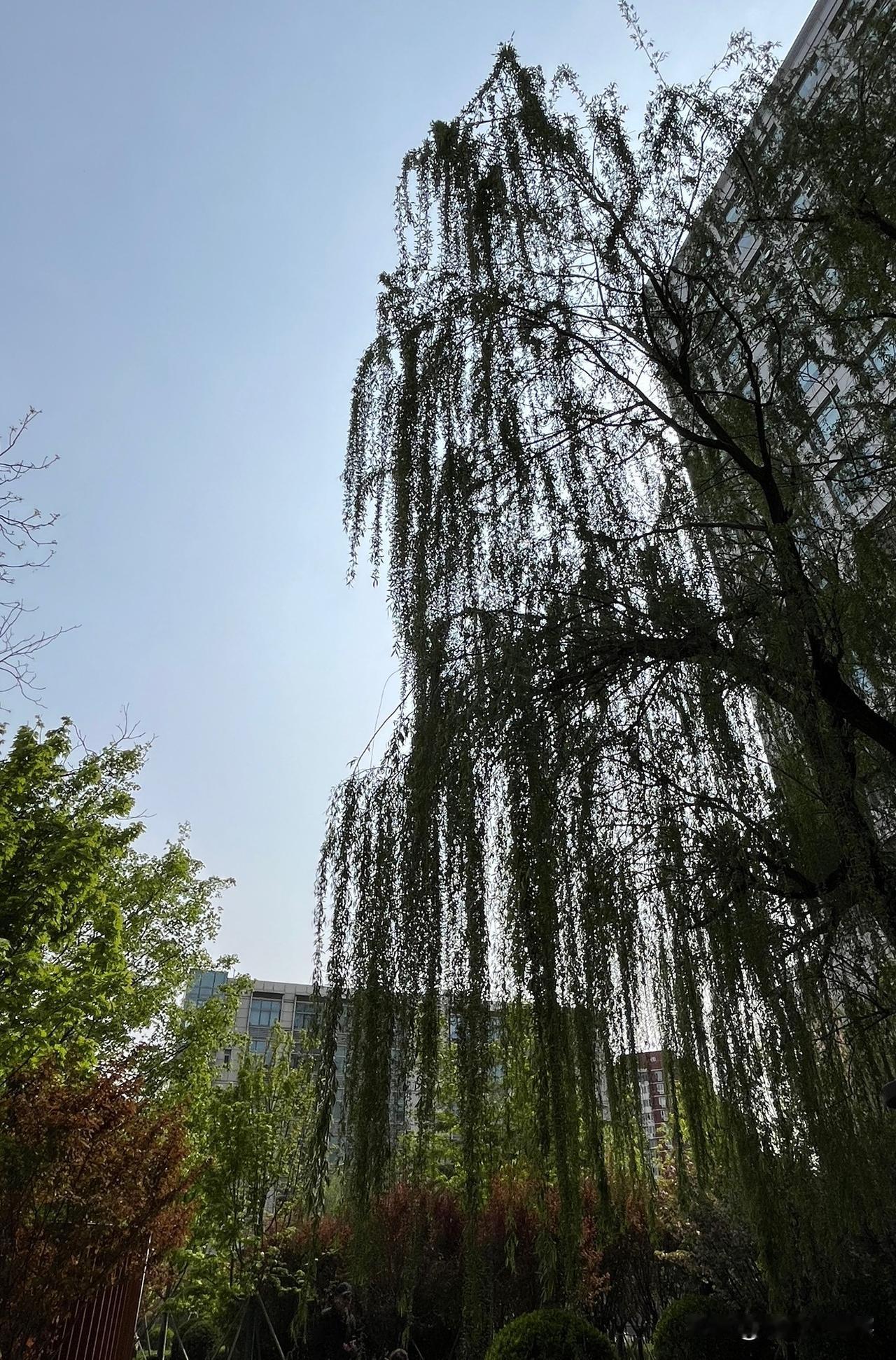 只有离不开的资源，没有离不开的政权。人类活着以及不断幸福地活着，