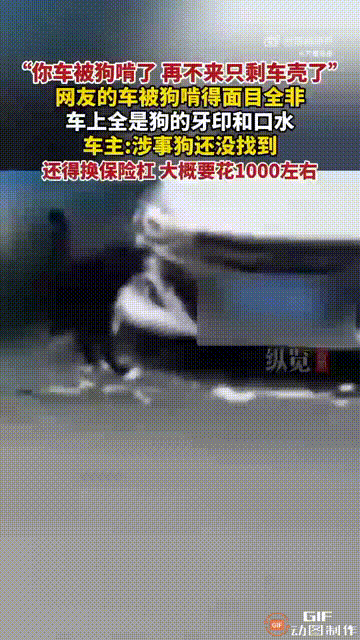 湖南湘西吉首一名女子把车停在路边，然后直接回家了，之后她突然接到一个陌生电话，对