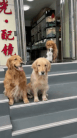 拍照呢，怎么能少的了你