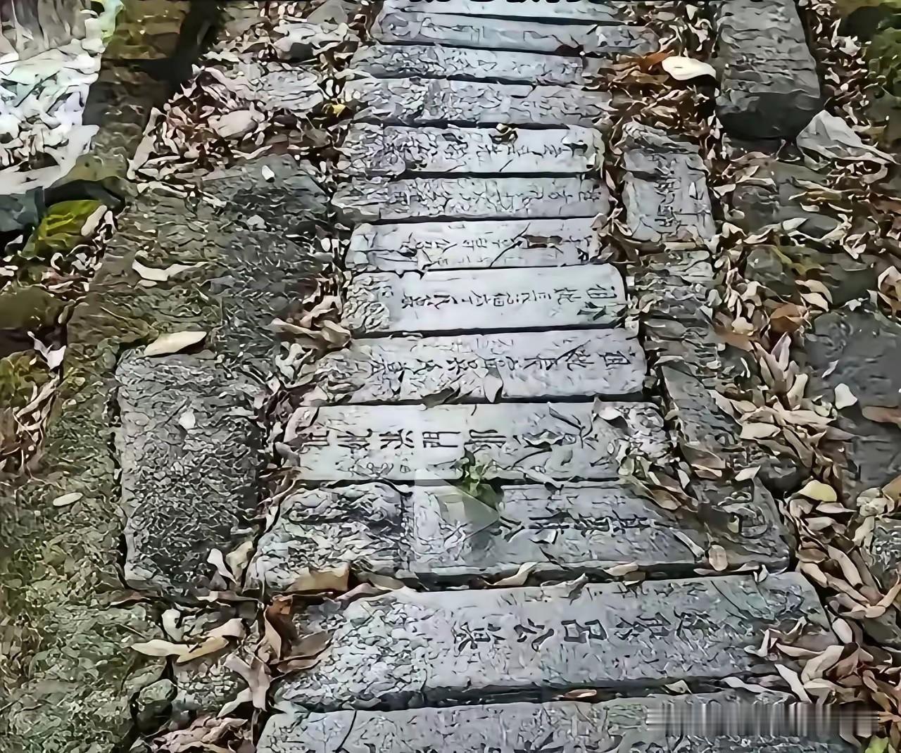 新买的小白鞋，鞋带松了。她弯腰一系，余光扫到脚底的石板——上面刻着“先父张公讳某