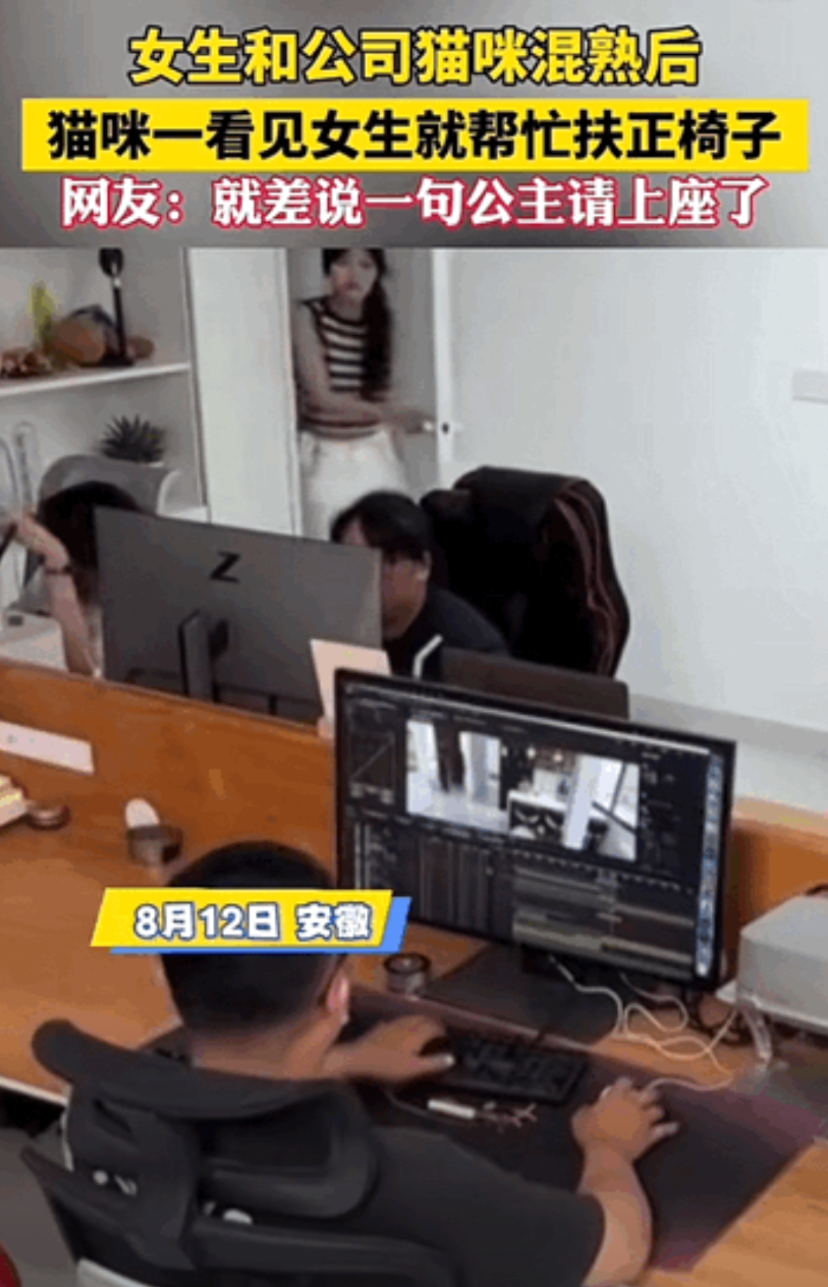 万物皆有灵性！安徽，女生经常投喂和陪公司的猫咪一起玩，久而久之和猫咪混的特别熟，