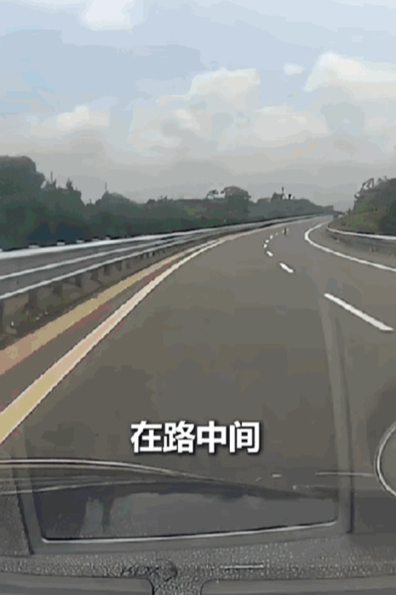 “为他点赞！”江西男子开车在国道上疾驰，突然发现路中间有个小黑点。男子警惕的将车