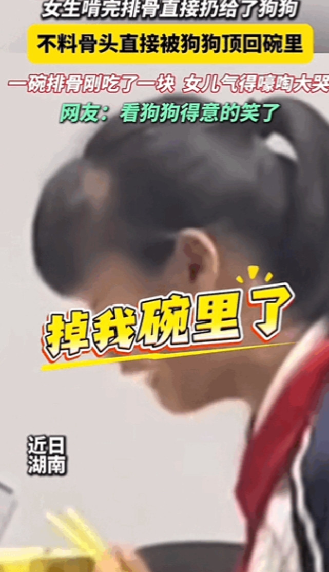 “笑不活了！”湖南，一女孩在家吃排骨，想着自家狗狗眼巴巴地看着怪可怜，就好心把啃