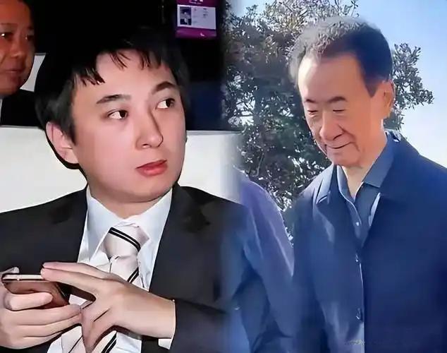 王家父子轮番被“限高”，是巧合还是必然？商业巨轮的命运转折点曾经挥金如土的