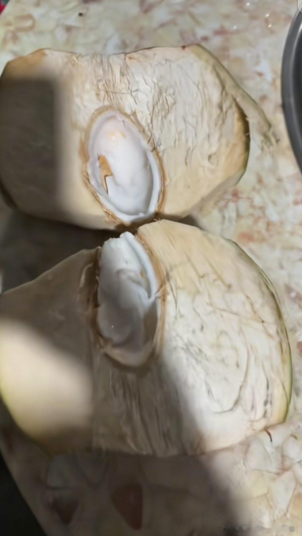 第一次看到这种“极品椰子”公摊面积居然有那么大的所以买椰子不能贪重日常吐槽搞笑幽