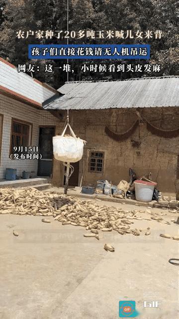 “脑子太好用了！”河南一对老两口家里20多吨玉米待收，原本喊几个儿女回家帮忙背玉