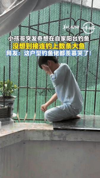 广东潮州，一户人家火了，自家二楼阳台紧邻一条天然河沟，水里罗非鱼成群，孩子不用出