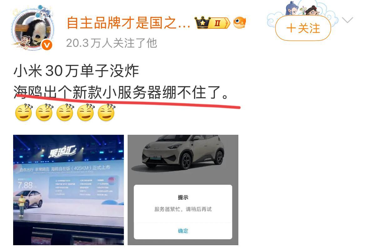 博主：“小米30万单子服务器没炸，海鸥出个新款小服务器绷不住了！”这说明了啥？
