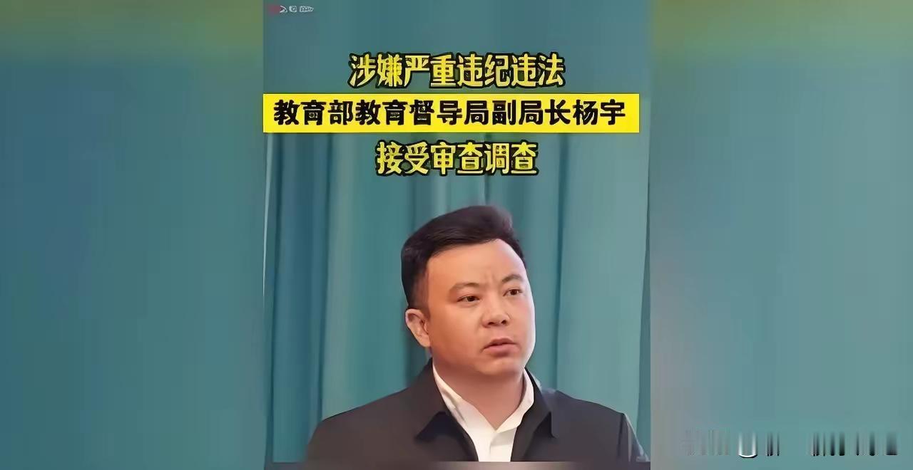 刚过完元旦就看到个让人拍大腿的消息，教育部那个杨宇副局长被查了！​这下咱们可算