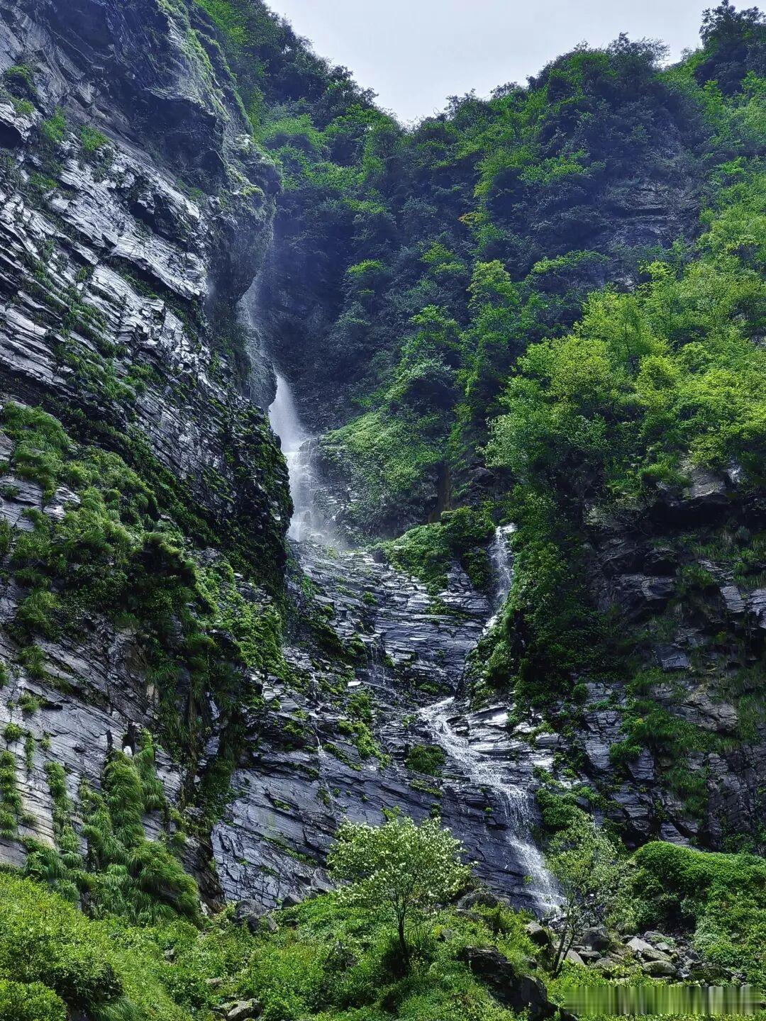 不是瑞士，也不是喀纳斯，这是贵州藏在深处的吊水岩瀑布，当地人叫它“银龙瀑布”！丰