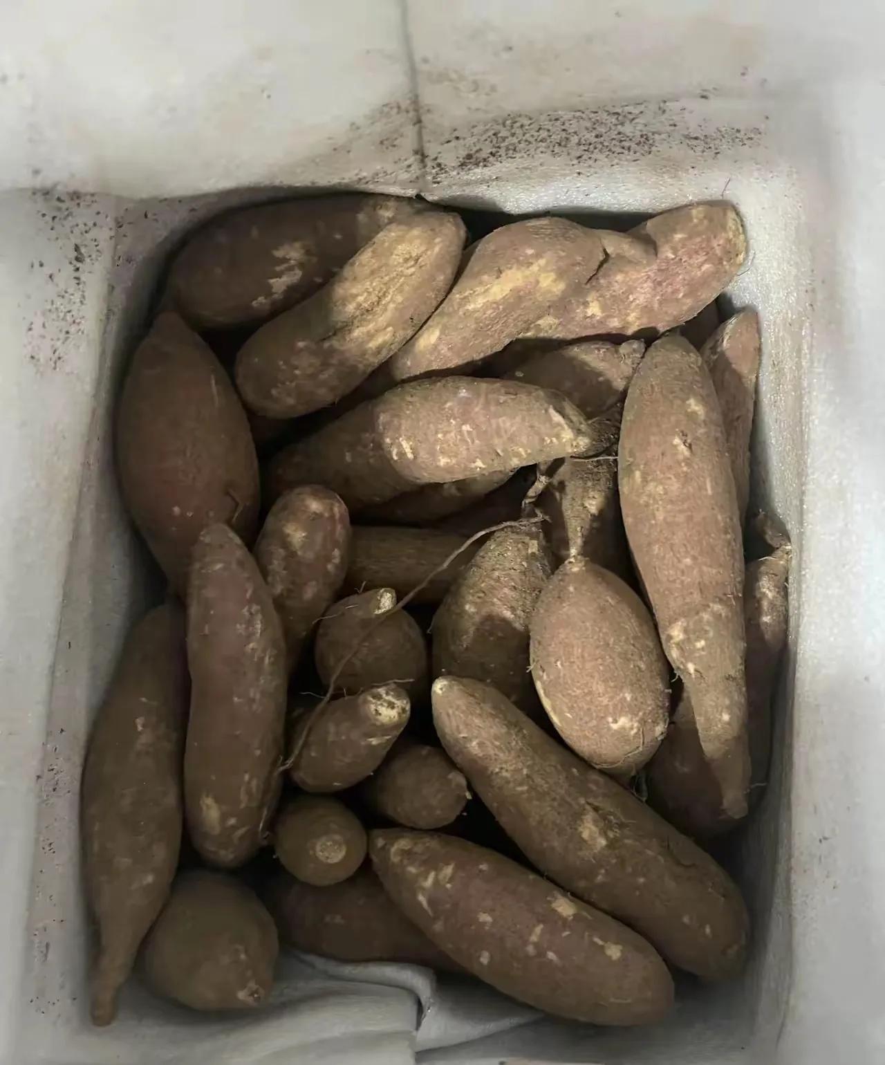 真的太寒心了！居然有人敢用克百威这种剧毒农药种红薯，为了利益连基本的良心都丢了，