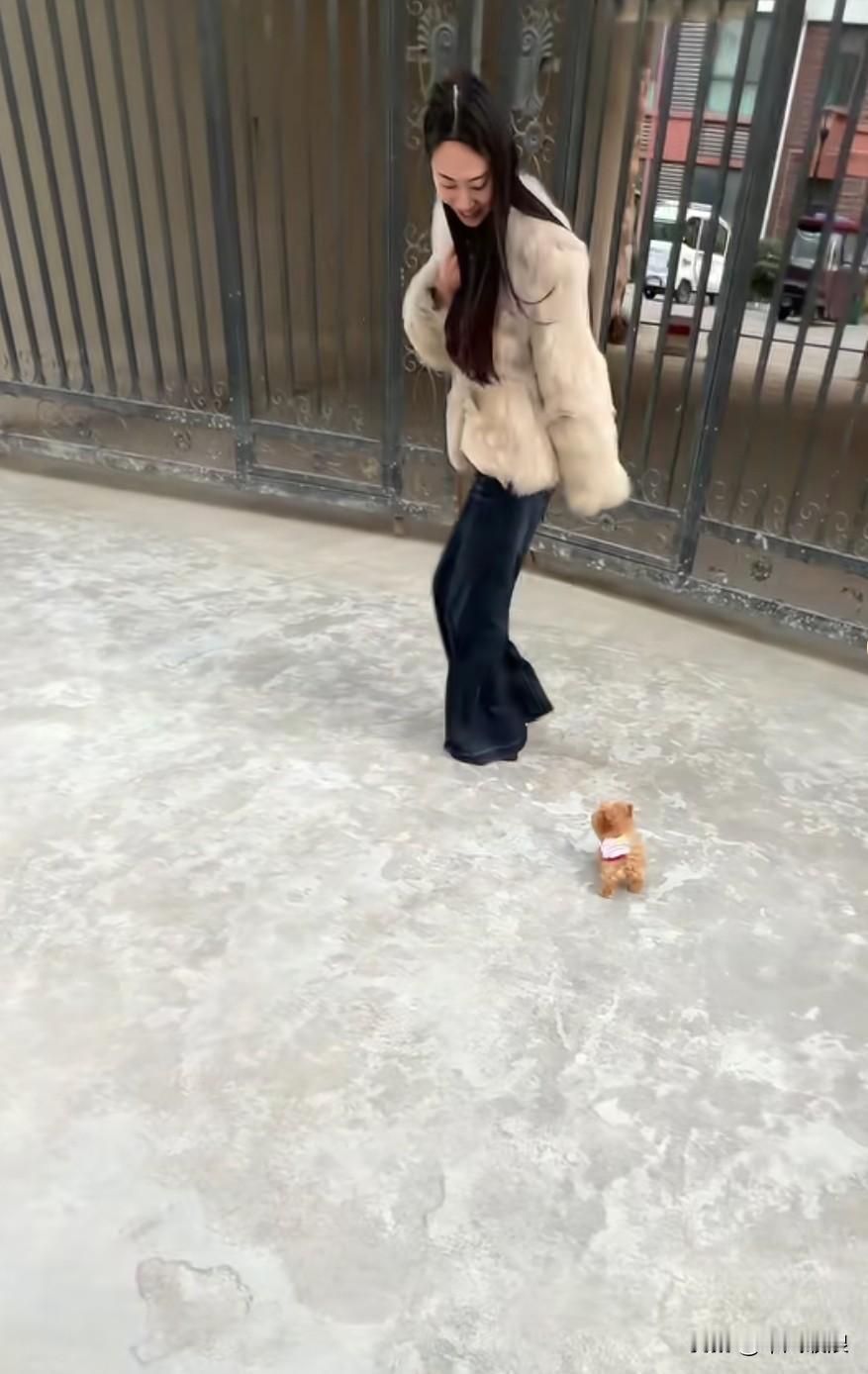 2025年除夕那天，我闲来无事，便和巴掌大的博美玩起了赛跑，它那模样把我逗得眼泪