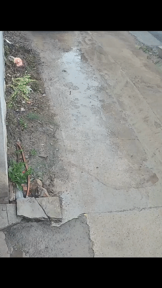 这位大哥看起来摔的不轻啊！他躺在地上缓了好长时间才站了起来？