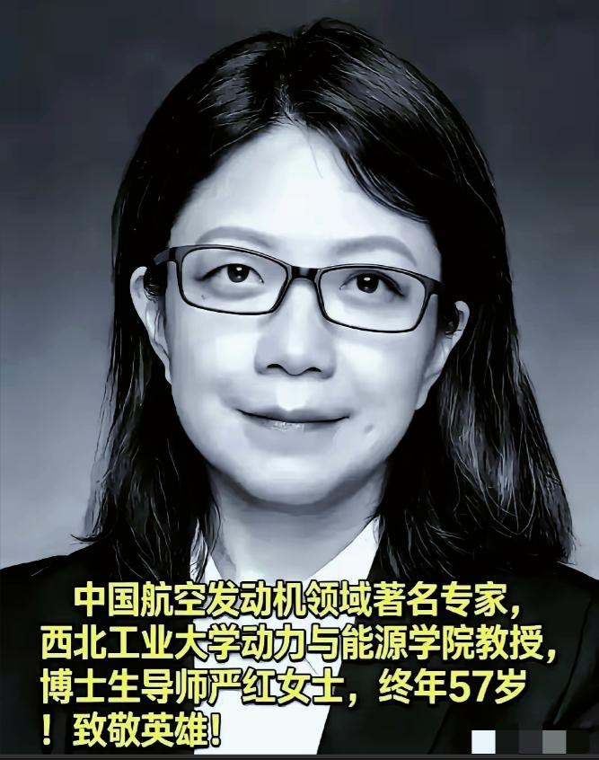 真的破防了，3月24日，西工大博导严红，死磕航空发动机的核心专家，也悄然离去了。