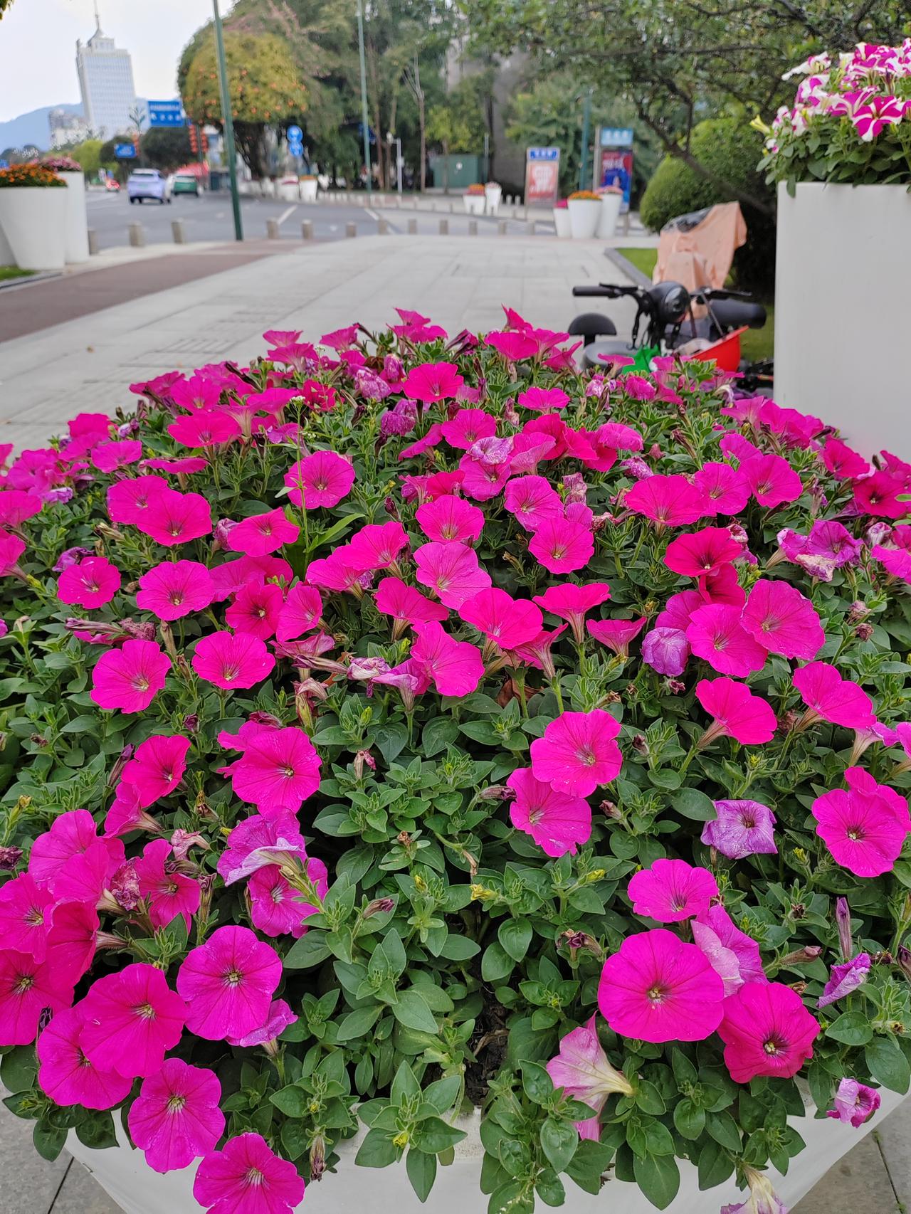 股市中普遍存在“自信"股市中普遍存在的“自信”现象，并非源于投资者真的掌握了