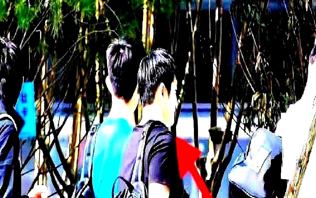 樊振东走了，去德国打球了，可让人意想不到的是，才去了仅仅不到10天，他又回来了。
