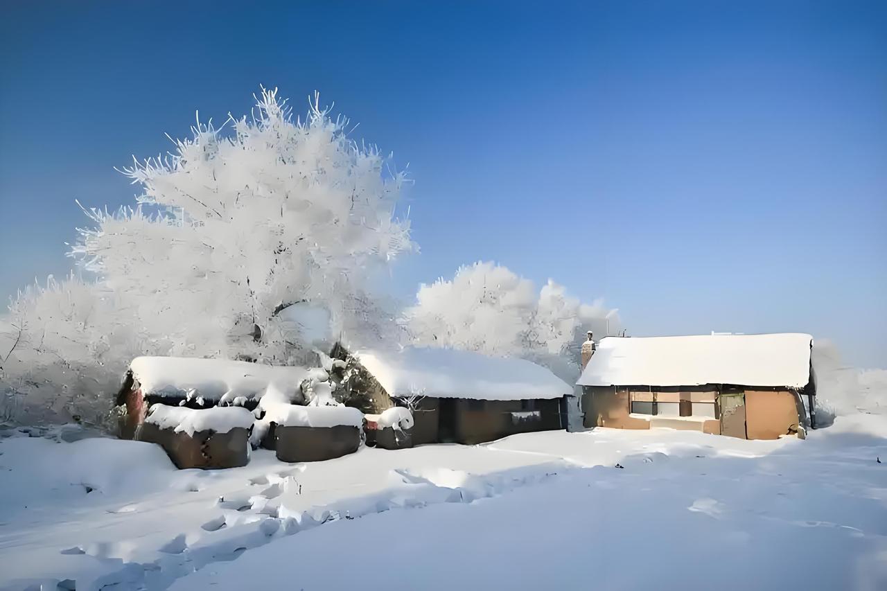 东北人有不少是山东人的后裔。东北人中祖籍山东的比例较高，不同地区有所差异，黑龙江