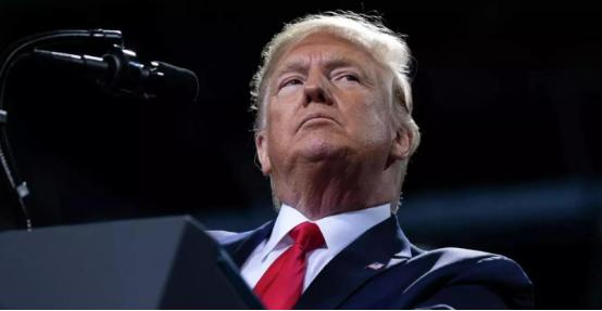 233比172，日本杀出"黑马"，对华态度成亮点，特朗普或抛弃高市 233